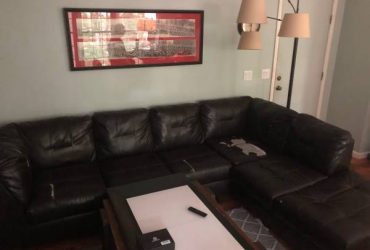 free sectional sofa leather couch (Cary)