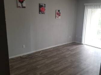 $450 Looking for temp roommate!!! (Northwest Austin)