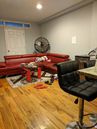 $800 Large room in great apartment (Brownsville)