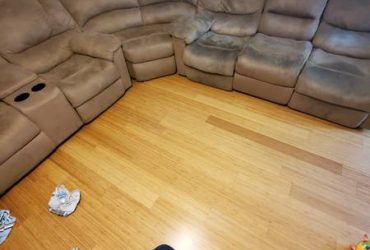 Free Couch (DayBreak Woods)