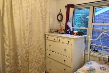 Room available in sunny Astoria apt ($800) (Astoria)