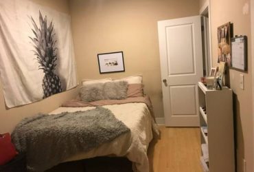 $345 Low rent, luxurious living – Bed with Bath!