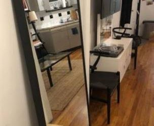 ikea mirror, microwave, plates, ikea shelf, burlap rug (Lower East Side)