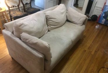 Two seater pull out couch. (New York)