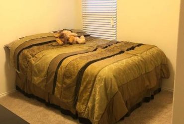 $367 Private bedroom – Low monthly rent – You would love it!