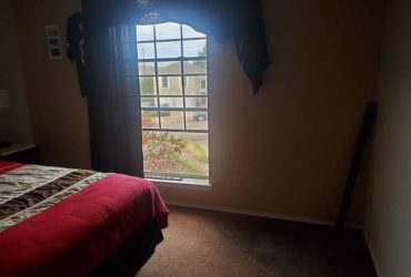 $400 Female roommate wanted (Pflugerville)