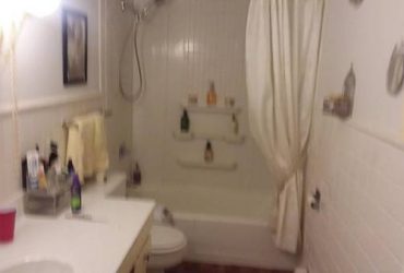$540 Condo to Share in Downers Grove (Downers Grove)