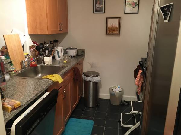 $3315 / 2br – Hell's Kitchen 1B1B Flex Apartment for Rent, Move in August 1st! (Midtown West)