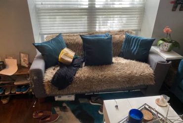 Grey small couch and white f fake leather sectional couch with scratching damage (Ozona)