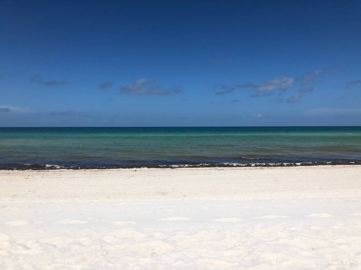 $1600 / 1000ft2 – Stunning condo in Miami Beach on the beach (Miami Beach)