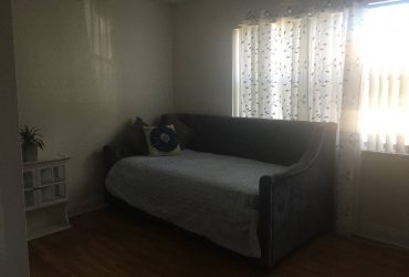$700 / 956ft2 – New updated room with own bathroom (Sunrise)