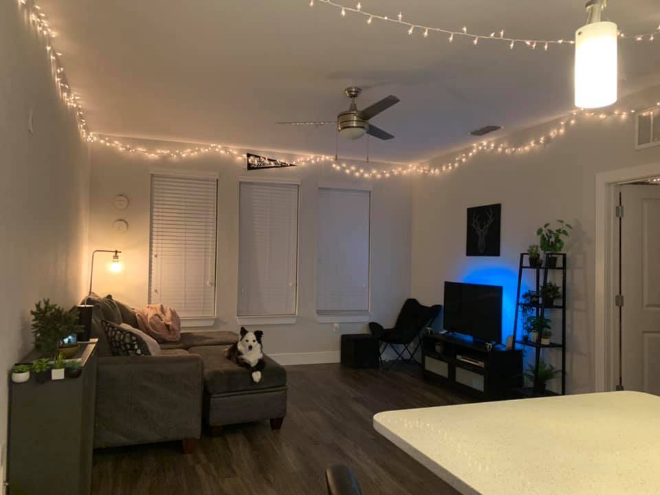$765 Beautiful apartment- two bed rooms available. (st.petersburg)
