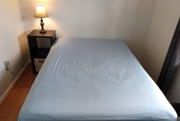 $550 Room available for rent in my home with all utilities included (Clearwater)