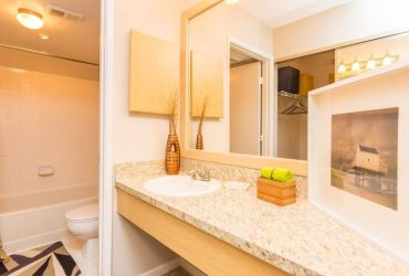$1647 / 2br – 923ft2 – 2 bed-immediate move in Apt512, vaulted cielings,fully renovated,
