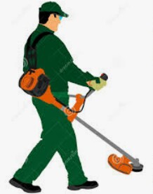 Trabajador de mantenimiento de paisaje / Landscape Maintenance Worker (Broward County)