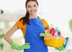 Housekeeping/residential house cleaners (pinellas county)