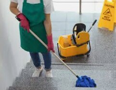 Cleaning lady / señora de la limpieza ama de llaves / PT (Hollywood 33020)
