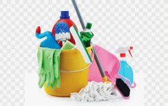 House Cleaner !!!! Start asap!!!! (Saint Petersburg)