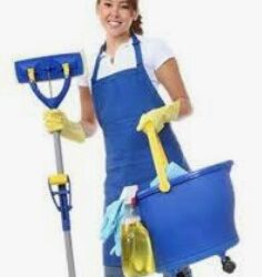 Cleaning service (Miami)