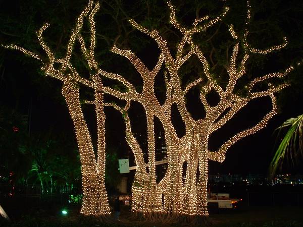 HOLIDAY LIGHT INSTALLERS WANTED – NO EXPERIENCE REQUIRED (RIVIERA BEACH)