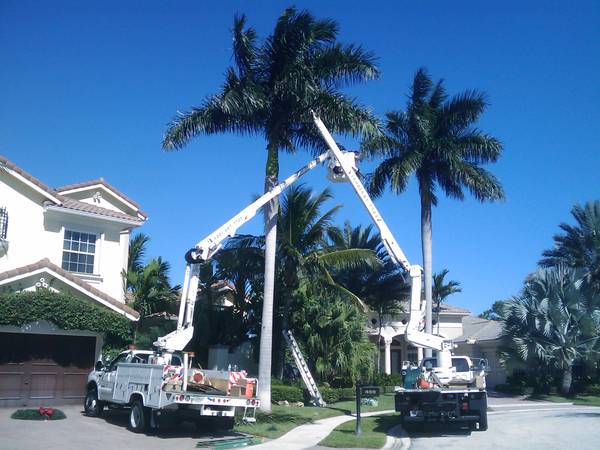 HOLIDAY LIGHT INSTALLERS WANTED – NO EXPERIENCE REQUIRED (RIVIERA BEACH)