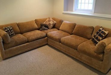 FREE Sectional with sofa bed (Tampa)
