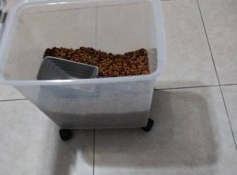 Free Cat Food & Cat Items