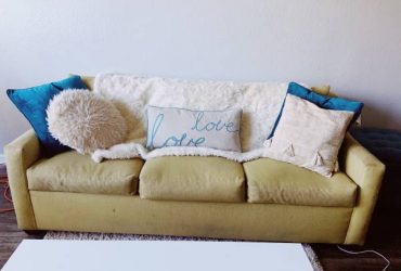 Sleeper Sofa (Orlando)