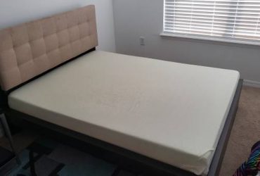 Free Queen and Full Beds (Tampa)