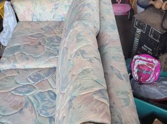 Sleeper Couch (Webster)