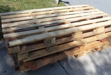Free wood pallets, 82 x 42 (Seminole)