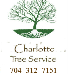 Charlotte Tree Service