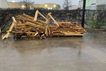 Free wood and pallets (SPRING)