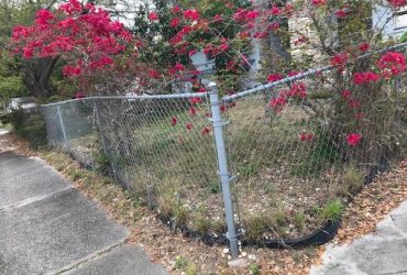 Free 100ft chain link fence + 3 entry gates (Clearwater)