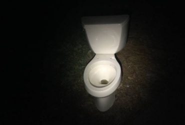 kohler toilet (Lake Mary)