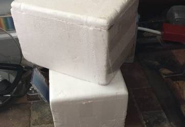 2 Free Styrofoam Coolers (East Orlando)