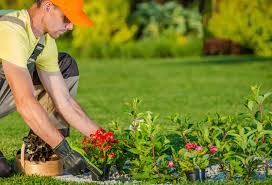 Experienced Landscapers and Masons Wanted (Yonkers)