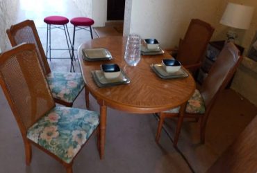 Dining table and chairs (Curry Ford)