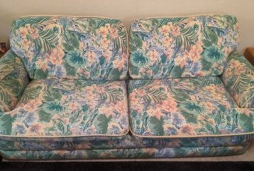 free couch if you help me move in my new one (Davenport)