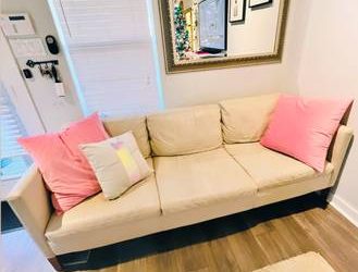 Leather Couch (Houston)