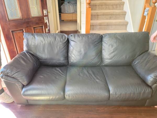 Free leather sleeper sofa (Allen)