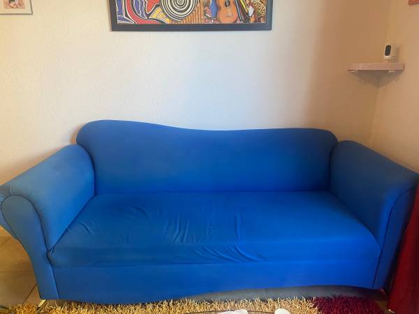 2 sofas for free (Homestead)