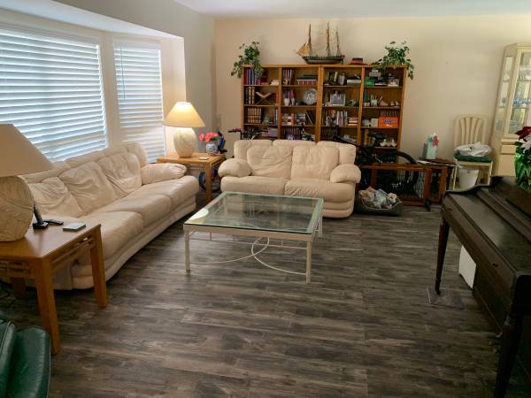 Leather Couch and Loveseat (wekiva)