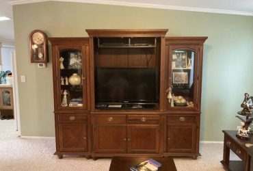 WALL STORAGE UNIT, SOLID WOOD WITH GLASS DOORS, FREE! (Orlando, east near UCF)