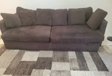 Couch and carpet (Jupiter fl)