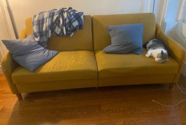 Yellow Couch (BedStuy) NY