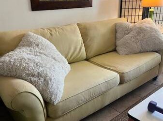Free Lexington Sofa Couch (Winter Park Pines)