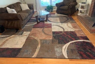 Large area rug (South Park)