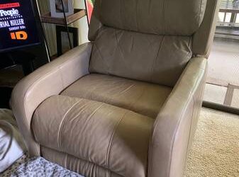 FREE RECLINERS (Carrollwood)